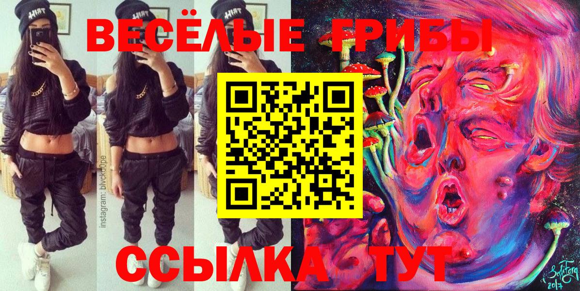 Псилоцибиновые грибы Psilocybine cubensis Воркута